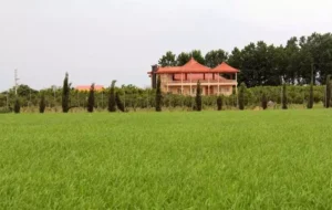 تغییر کاربری این اراضی کشاورزی محال است ، فریب مشاوران املاک را نخورید