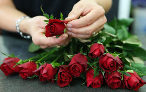 فال حافظ امروز ۲۱ فروردین/ عاشق و مخمور و مهجورم بت ساقی کجاست