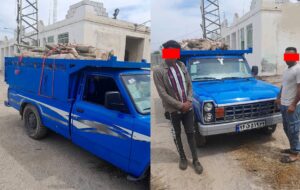 دستگیری ۲ راننده نیسان آبی حین سرقت درختان جنگلی+عکس