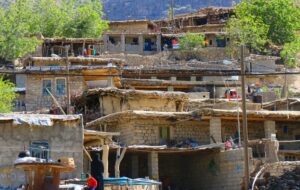 تولید انواع محصولات در روستاها دیگر نیازی به مجوز دامپزشکی ندارد