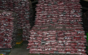 کشف انباری مملو از مواد خوراکی در یکی از محله های شیراز