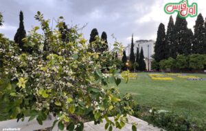 تصاویر امروز کهن‌ترین باغ شیراز که از آب رکنی مشروب می‌شد
