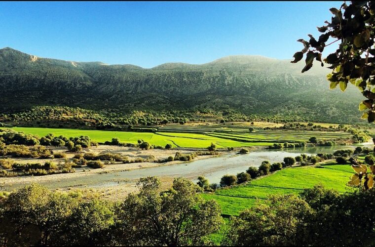 از رها کردن آتش فعال و زباله در جنگل و پارک های جنگلی خودداری کنید