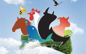 آغاز بکار بیستمین نمایشگاه نهاده های کشاورزی، سیستم های آبیاری وتجهیزات گلخانه ای در شیراز