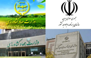 ترک فعل سازمان اداری و استخدامی و برنامه و بودجه در اجرای قانون بودجه و رای دیوان عدالت برای افزایش حقوق پرسنل وزارت کشاورزی