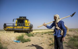 جهاد کشاورزی خودش پای کار سند الگوی کشت نیامده از دیگران دعوت می کند !