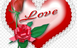 فال حافظ امروز ۲۰ فروردین/ تخت زمرد زده است گل به چمن