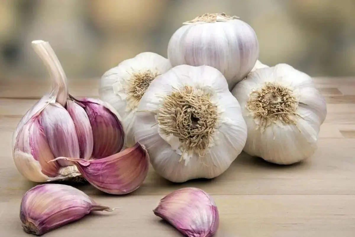 افرادی که نباید سیر بخورند