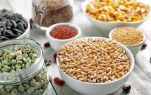 ۷ ترفند ساده دفع حشرات از حبوبات + روش های پیشگیری