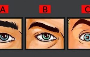 اگر می خواهید شخصیت خودتان را بهتر بشناسید بگویید کدام چشم نظرتان را جلب کرده است؟