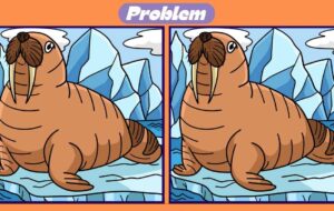 تست هوش : ۳ تفاوت این دو تصویر را در ۳۶ ثانیه کشف کنید