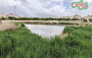 ۵۰ نگاره از پارک فروزان شیراز که هم مردم ببینند هم آقای شهردار