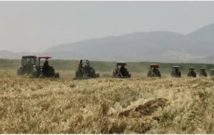 نابودی ۱۹۰ هکتار از مزارع آبیاری شده با فاضلاب در گردخون شیراز