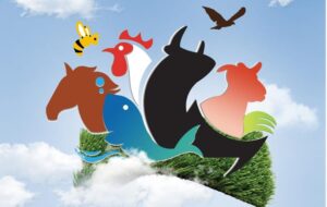 آغاز به کار نمایشگاه دام و طیور، آبزیان و پرندگان زیبا در شیراز