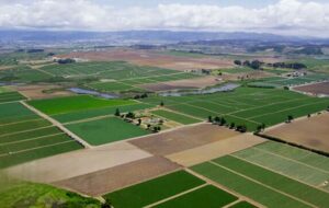 اشتباه عجیب دولتی ها در مصادره زمین ها که کشاورزان قزوین باید ضررش را بدهند