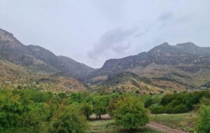 آمار بارندگی سامانه اخیر در استان فارس تا امروز ۱۵ اردیبشهت ۱۴۰۳