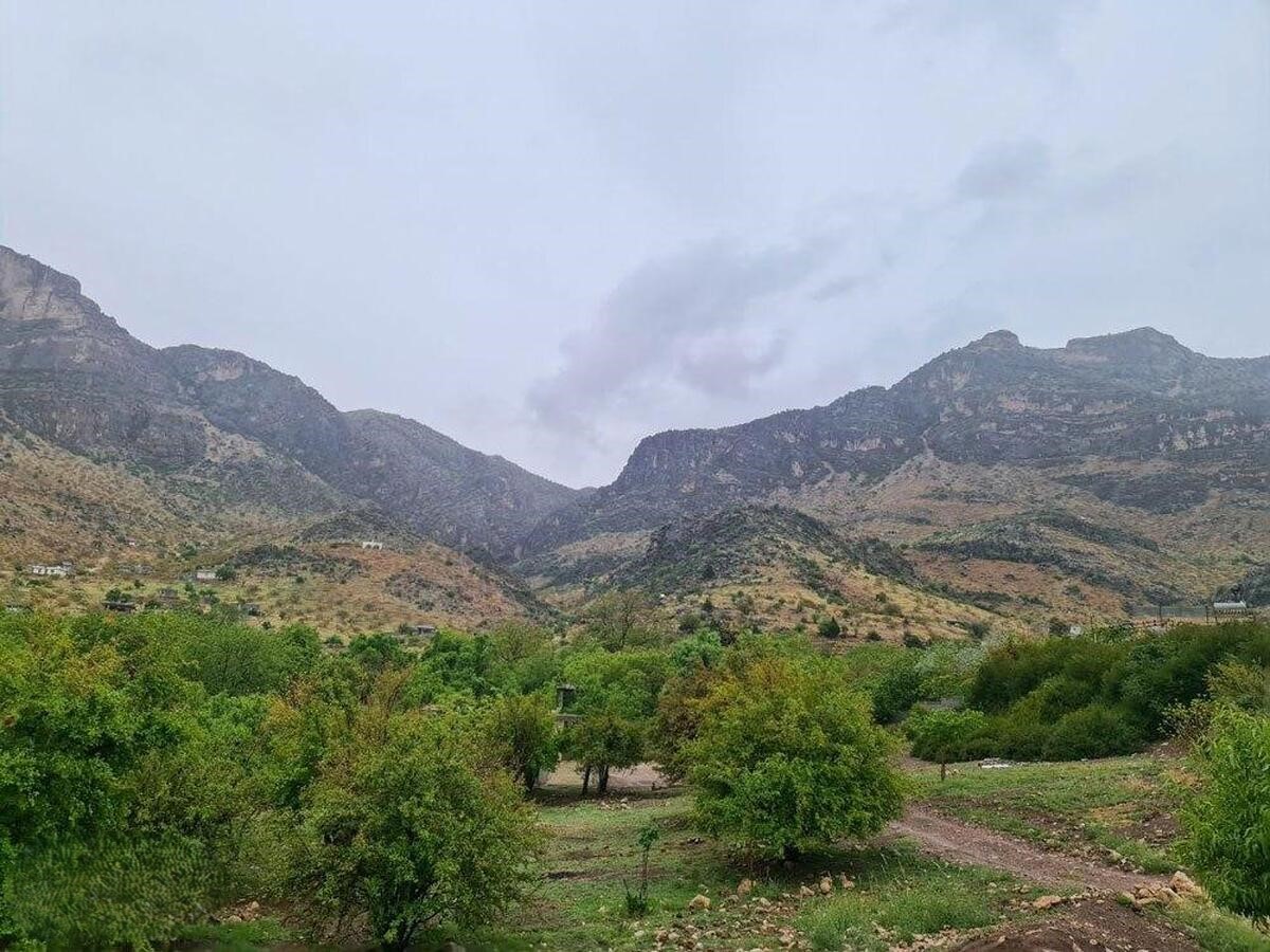 بارندگی 1