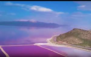 بلای عجیبی که چاه های اطراف شیراز سر تالاب مهارلو آوردند(+فیلم)