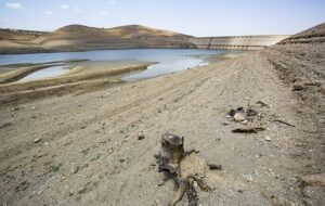 ۷ شهر و منطقه استان فارس در معرض تنش آبی در تابستان ۱۴۰۳