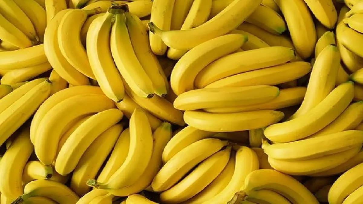 عوارضموز