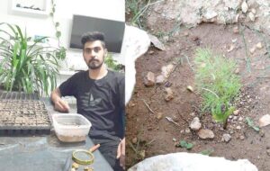 تلاش زوج جوان نی ریزی برای حفظ گونه های گیاهی در حال انقراض