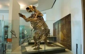 غول‌های عظیم‌الجثه‌ آمریکا چگونه نابود شدند ؟