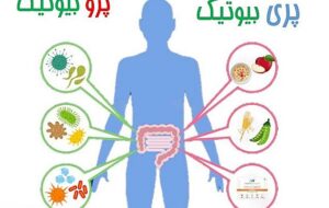 درباره پری بیوتیک ‌ها و پروبیوتیک ‌ها و خواص آنها بیشتر بدانید