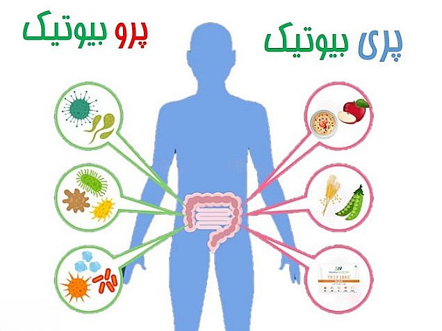 پری بیوتیک ‌ها و پروبیوتیک