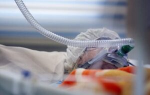 چرا اجرای حدّ بر پزشکان شارب خمر شیراز ضروری است؟