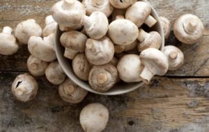 نکات تشخیص قارچ سالم از فاسد به هنگام خرید