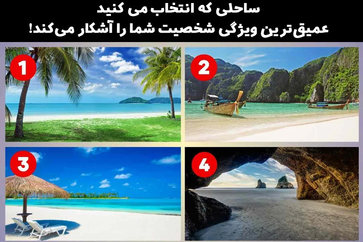 تست شخصیت شناسی