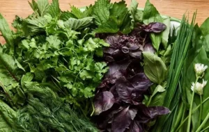 ۳ ترفند جادویی برای جلوگیری از پلاسیده شدن سبزی خوردن