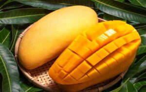 ترفند تازه نگهداشتن انبه در یخچال و نحوه فریز کردن آن