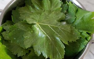 ترفندهای نگهداری برگ مو در فریزر بدون تغییر رنگ