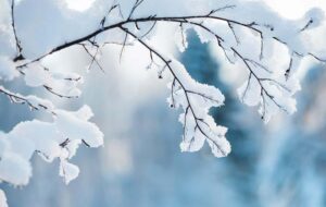 دیدن برف و باریدن آن در خواب چه تعبیری دارد؟