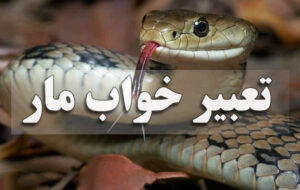 معنی و تعبیر خواب مار از نظر معبران معروف