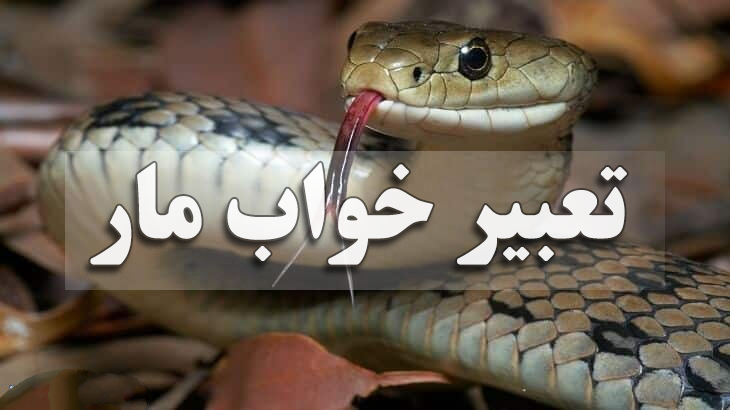 نعبیر خواب مار