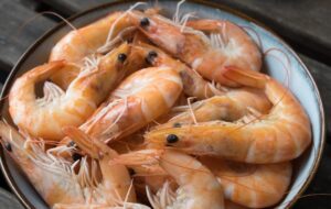 نحوه نگهداری طولانی مدت صحیح میگو در یخچال و فریزر