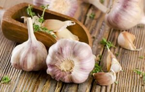 ۷ روش خشک کردن سیر تازه و طرز تهیه پودر سیر خانگی