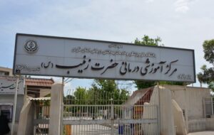 زوج استان فارسی پس از ۲۳ سال انتظار صاحب فرزند شدند