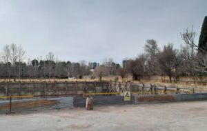 گزارشی جدید از تخریب و قطع درختان باغات شیراز به بهانه پارکینگ