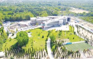 باغ‌خواران دانه‌درشت در قصردشت شیراز سخت مشغول اند