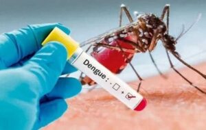 تب «دانگ» به شهرستان جهرم رسید/ابتلا و بستری شدن ۶ نفر