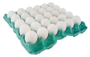 باکتری سالمونلا چگونه تخم مرغ را آلوده می‌کند؟ تخم‌مرغ باید در یخچال نگهداری شود