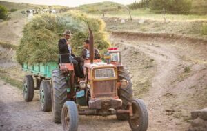 کشاورزان : پول گندم را بدهید تراکتور نخواستیم/چرخ بازار «تراکتور» لنگ می‌زند
