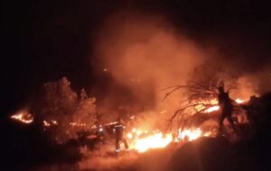 شناسایی و بازداشت عوامل آتش سوزی جنگل‌های رستم ادامه دارد