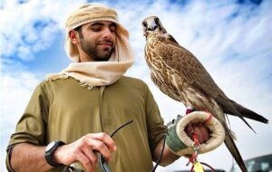 چه حالی می کنند اعراب خلیج فارس با حیات وحش ایران !