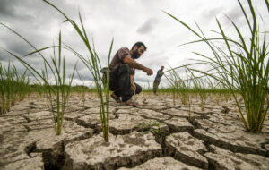 در این ۱۰ استان بیش از حد نرمال باران بارید/ کمبود بارش درتهران، قزوین و سمنان