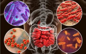 ناگفته هایی درباره نگهبانان میکروسکوپی‌ بدن که باید از آنها مراقبت کنید