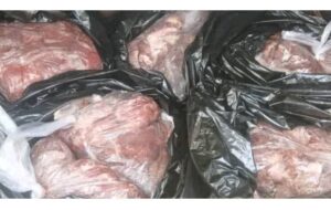 کشف گوشت گراز از یک خودرو حین تردد در کوهچنار فارس